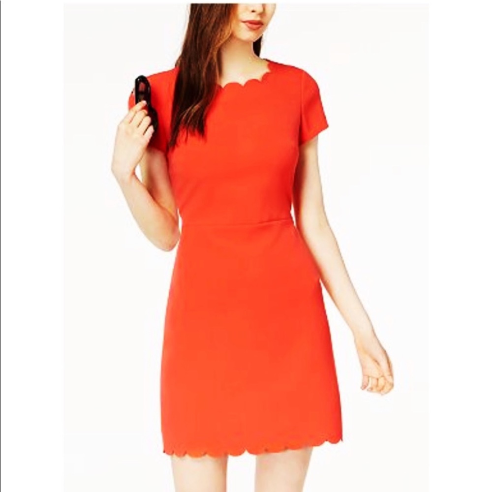 🍅 NWTs Women’s Maison Jules Baguette Dress 🍅